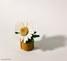 Load image into Gallery viewer, PEACEMINUSONE GD 818 BLOOM