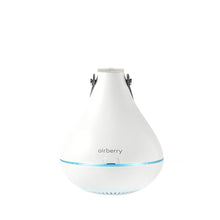 Load image into Gallery viewer, AIRBERRY Smart Clothing Care (Sterilization&dehumidification) set