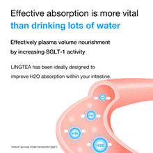 Load image into Gallery viewer, LINGTEA Peach Flavour