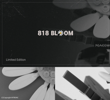 Load image into Gallery viewer, PEACEMINUSONE GD 818 BLOOM