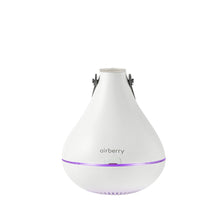 Load image into Gallery viewer, AIRBERRY Smart Clothing Care (Fragrance&air Circulation) set