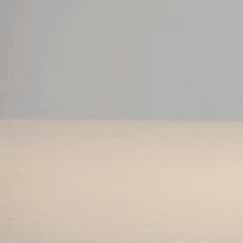 Load image into Gallery viewer, MUZIK TIGER Moving Tiger Toy 3Types