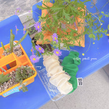 Load image into Gallery viewer, SECOND UNIQUE NAME Chiffon Gobull Green