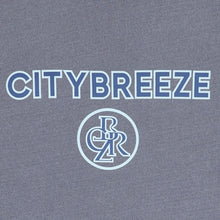 Load image into Gallery viewer, CITYBREEZE Logo Pigment Printed T-shirt Navy