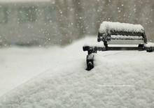 Load image into Gallery viewer, downloadable_thule_10.png