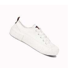 Load image into Gallery viewer, sw.PNG