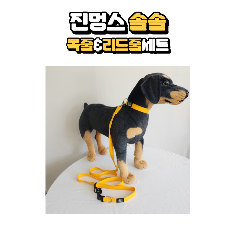 [TOHYANGBIOBALL] Jinmungs Solsol Pet Collar & Leash