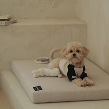 Load image into Gallery viewer, [WORLD HOME DOCTOR CORP] Dr.Friend Puppy Modern Sleep House
