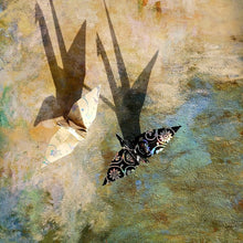 Load image into Gallery viewer, [SHELLANG] Colored Paper (Korean Mother-of-pearl Lacquerware)
