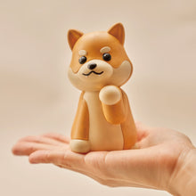 Load image into Gallery viewer, [GGD] RadOn Pet Dog and Cat 3D Coloring Kit
