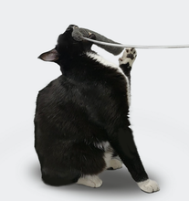Load image into Gallery viewer, [GGD] SPACECOMPANY ECO FUR TAIL CAT WAND TOY
