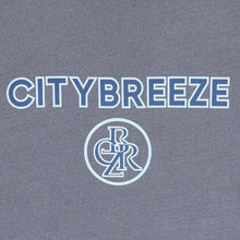 Load image into Gallery viewer, CITYBREEZE Logo Pigment Printed T-shirt Navy
