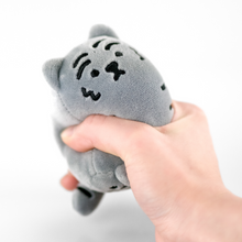 Load image into Gallery viewer, MUZIK TIGER Stress Ball 3 Colors
