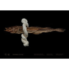 Load image into Gallery viewer, [DK SHOP] Good Luck Fish, Myeong Tae

